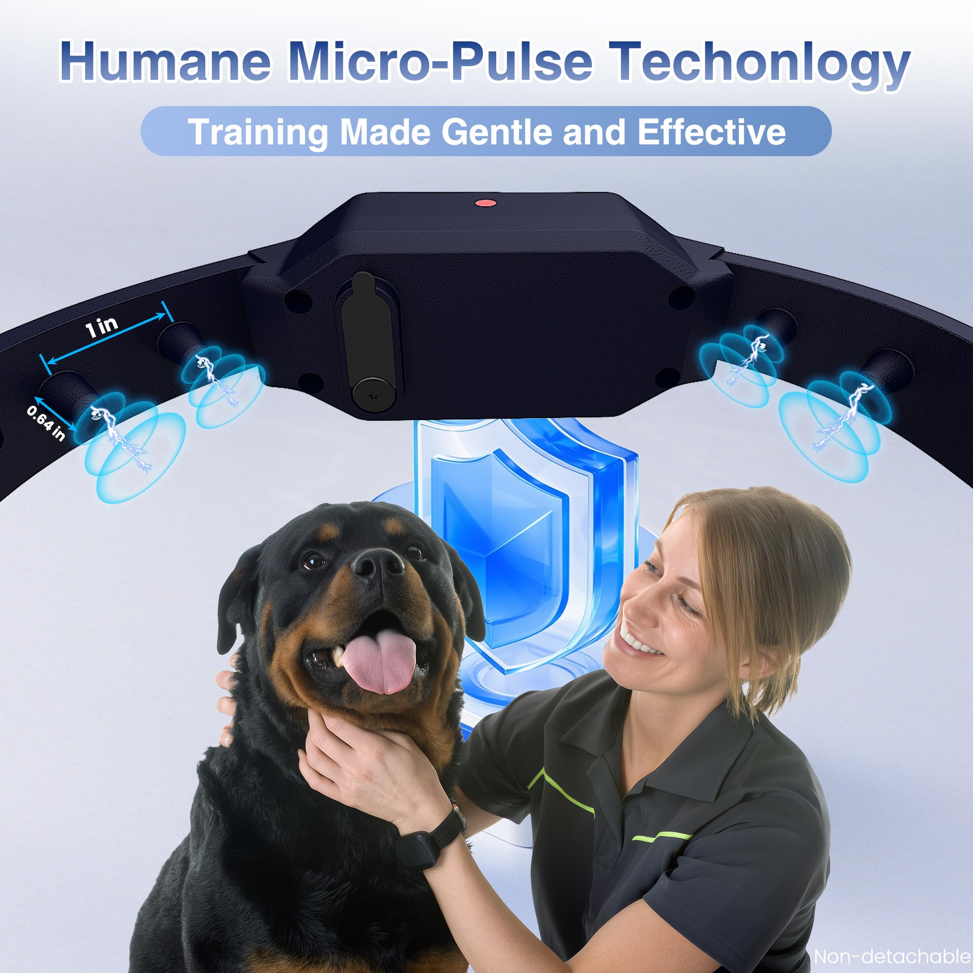 PATPET Collar con luz LED de 7 colores para mayor visibilidad nocturna.