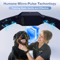PATPET Collar con luz LED de 7 colores para mayor visibilidad nocturna.