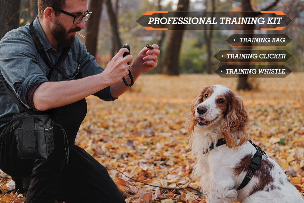 PATPET control para dos perros, entrenamiento simultáneo y eficiente