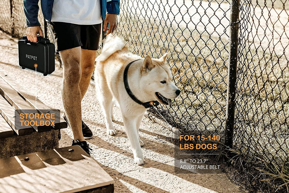 PATPET control remoto con detalle, uso práctico para entrenar en casa.