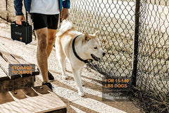 PATPET control remoto con detalle, uso práctico para entrenar en casa.