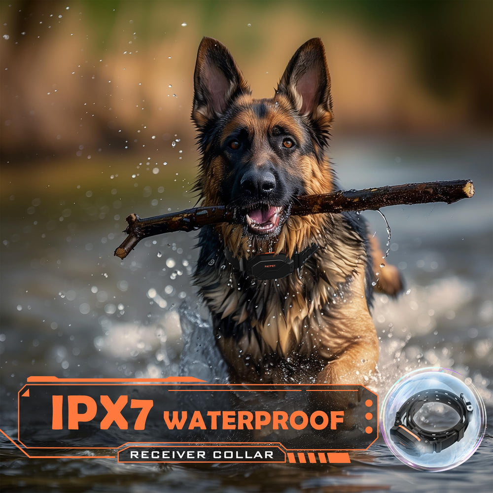 PATPET collar de dos canales para correcciones simultáneas en dos perros.