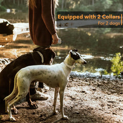 PATPET: ajuste para perros grandes y medianos de 6,8 a 63,5 kg.
