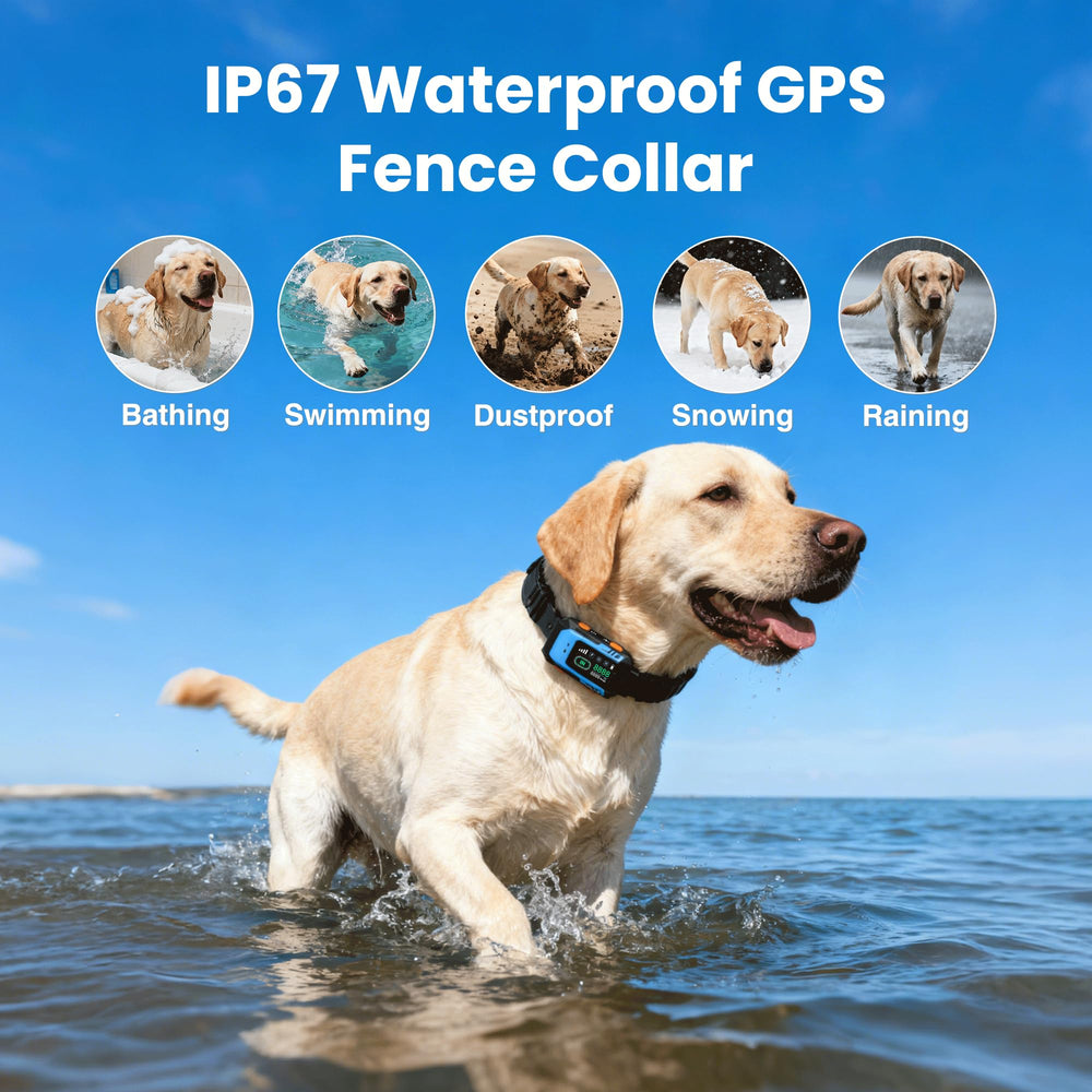 Patpet para exteriores: collar ligero para actividades al aire libre.