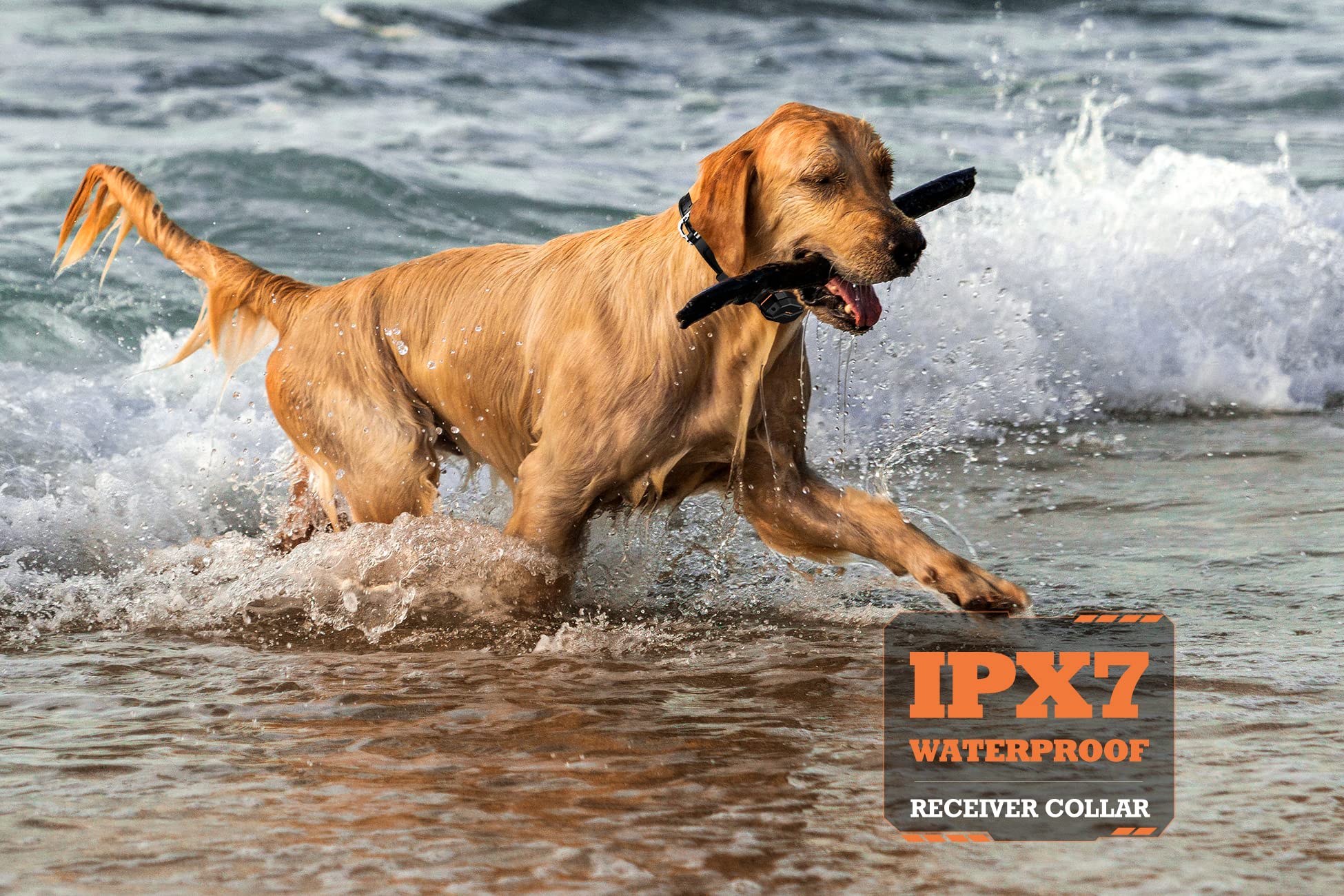 PATPET receptor de collar para entrenamiento, cómodo y ajustable para perros grandes
