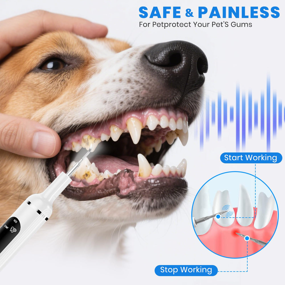 PATWING limpiador ultrasónico para placa en perros, cuidado suave y eficiente