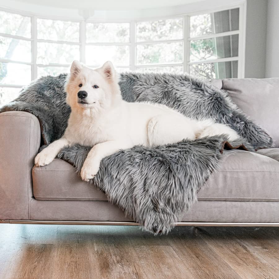 Diseño moderno de PupProtector en gris carbón