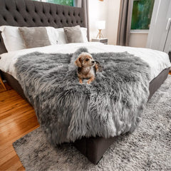 Protección de muebles con PupProtector, manta para sofá y coche