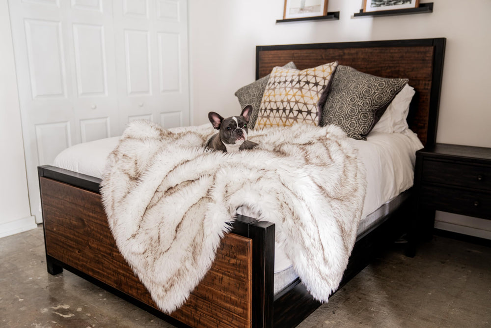 PAW BRANDS PupProtector protección de muebles mantiene sofás y camas limpios
