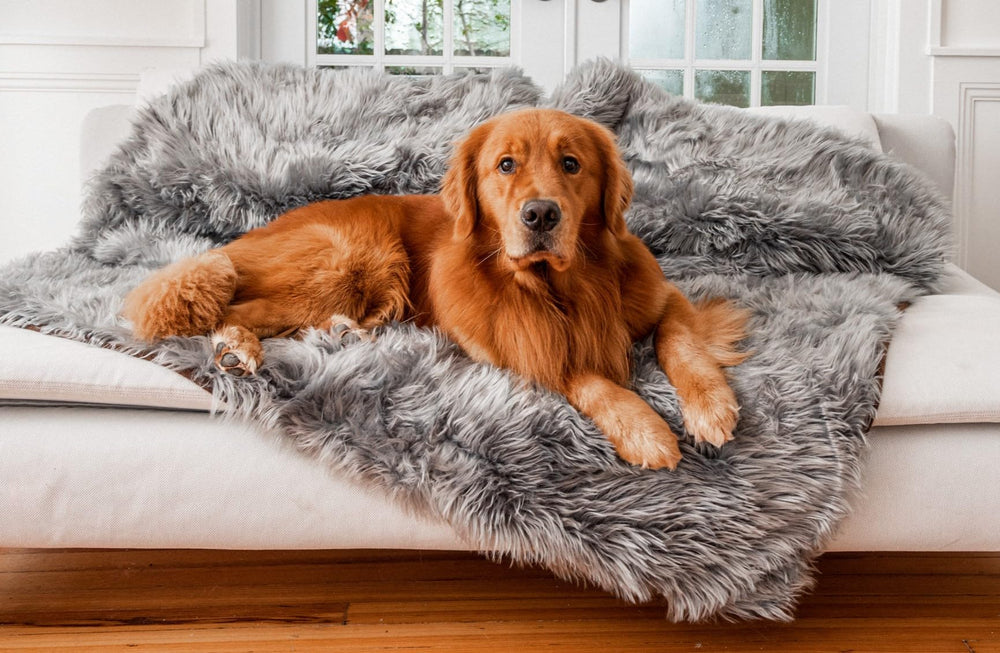 PupProtector con felpa suave para perros y gatos, comodidad lujosa