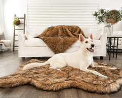 Diseño moderno de PupRug que combina estilo y confort