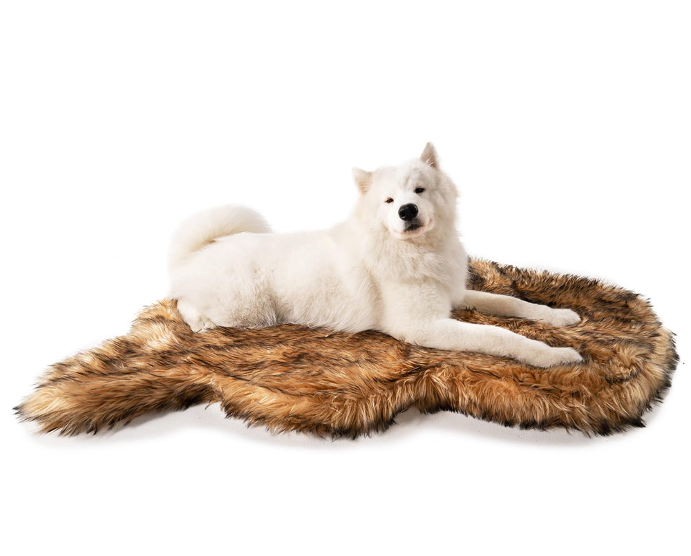 Perro descansando en PupRug, sensación de seguridad y confort