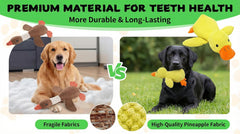Paw-FECT Piece, material suave para dientes y encías sanas durante mordidas.