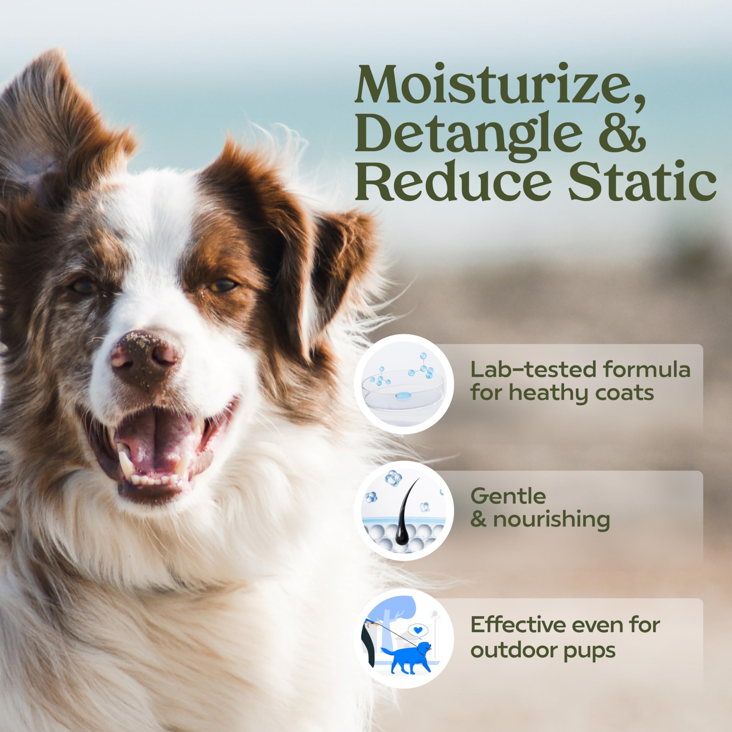 PAWFUME probiótico desodorizante para perro, aroma suave y cuidado del pelaje.