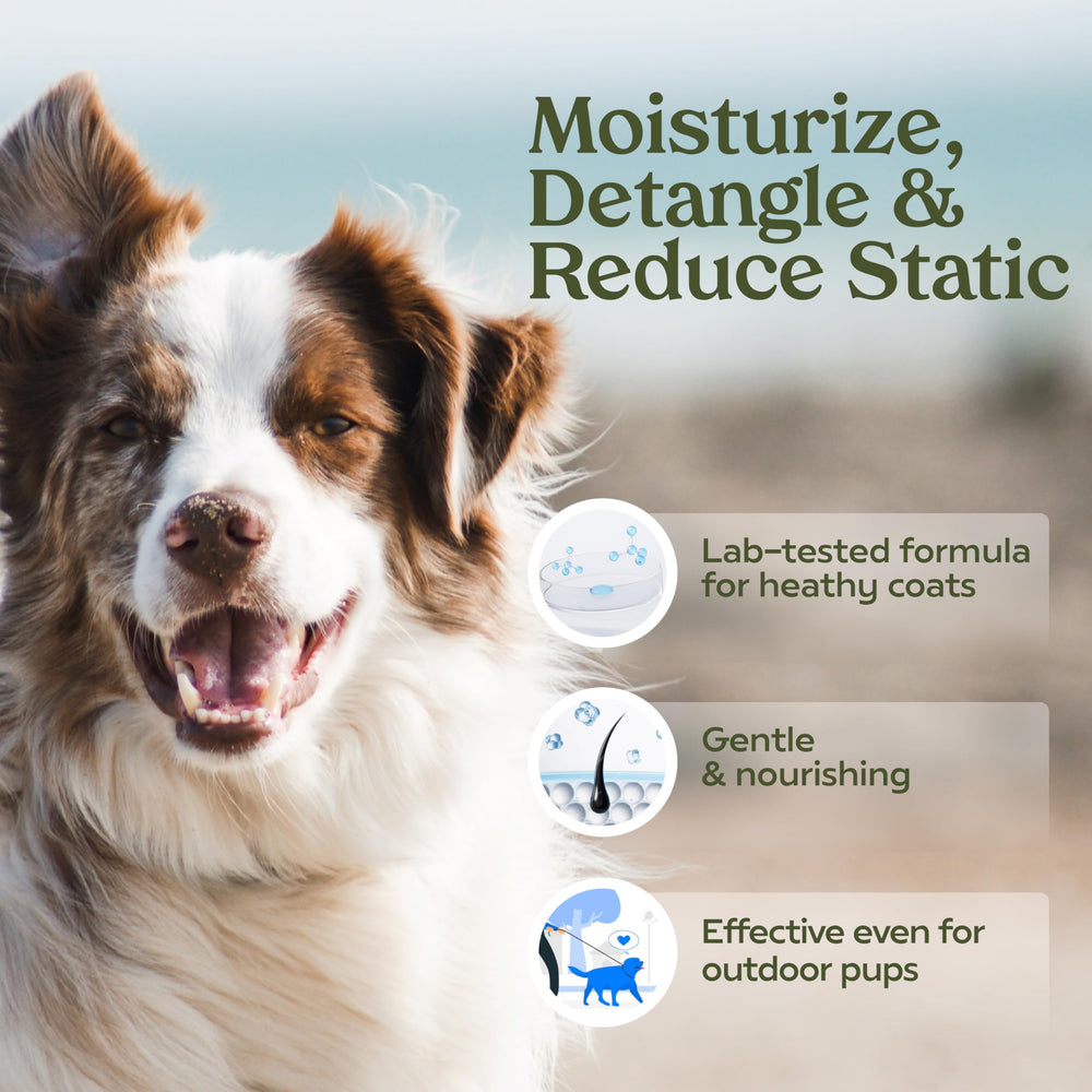 PAWFUME probiótico desodorizante para perro, aroma suave y cuidado del pelaje.