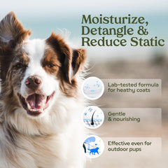 PAWFUME probiótico desodorizante para perro, aroma suave y cuidado del pelaje.