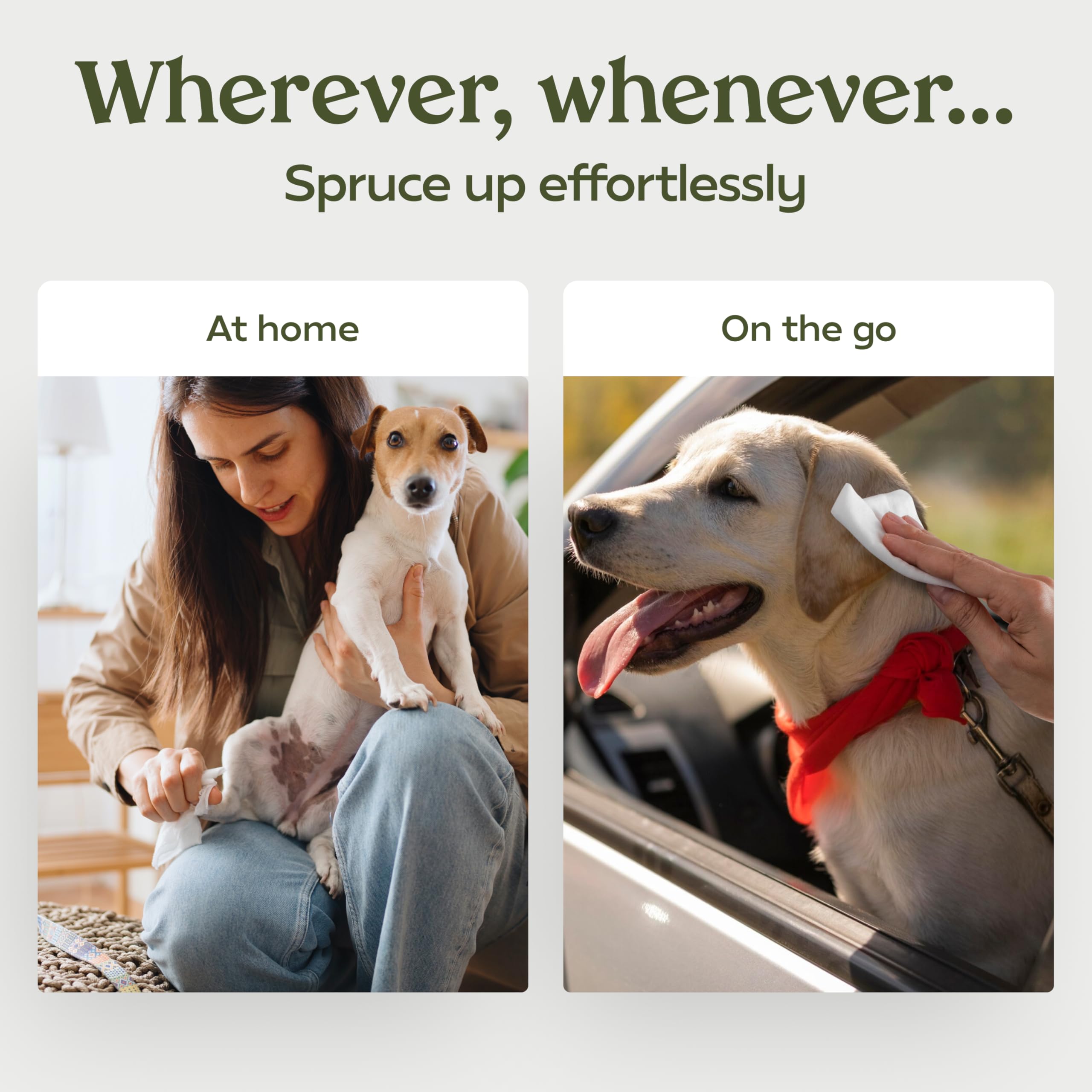 Paw Fume: toallitas para patas con cierre reutilizable, perfecta para salidas.