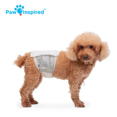 Paw Inspired bandas urinarias para perros machos: ayuda a mantener la casa más limpia.