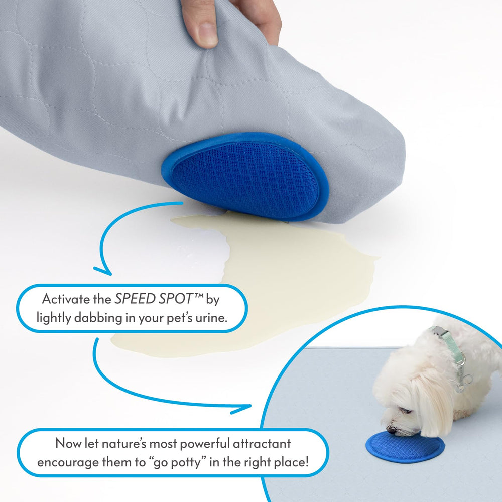 Paw Inspired Speed Spot: base de silicona antideslizante segura.