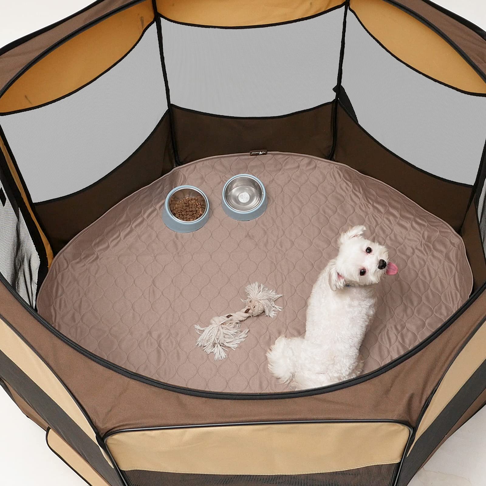 Paw Inspired lavado a máquina para tapete higienico lavable de perros