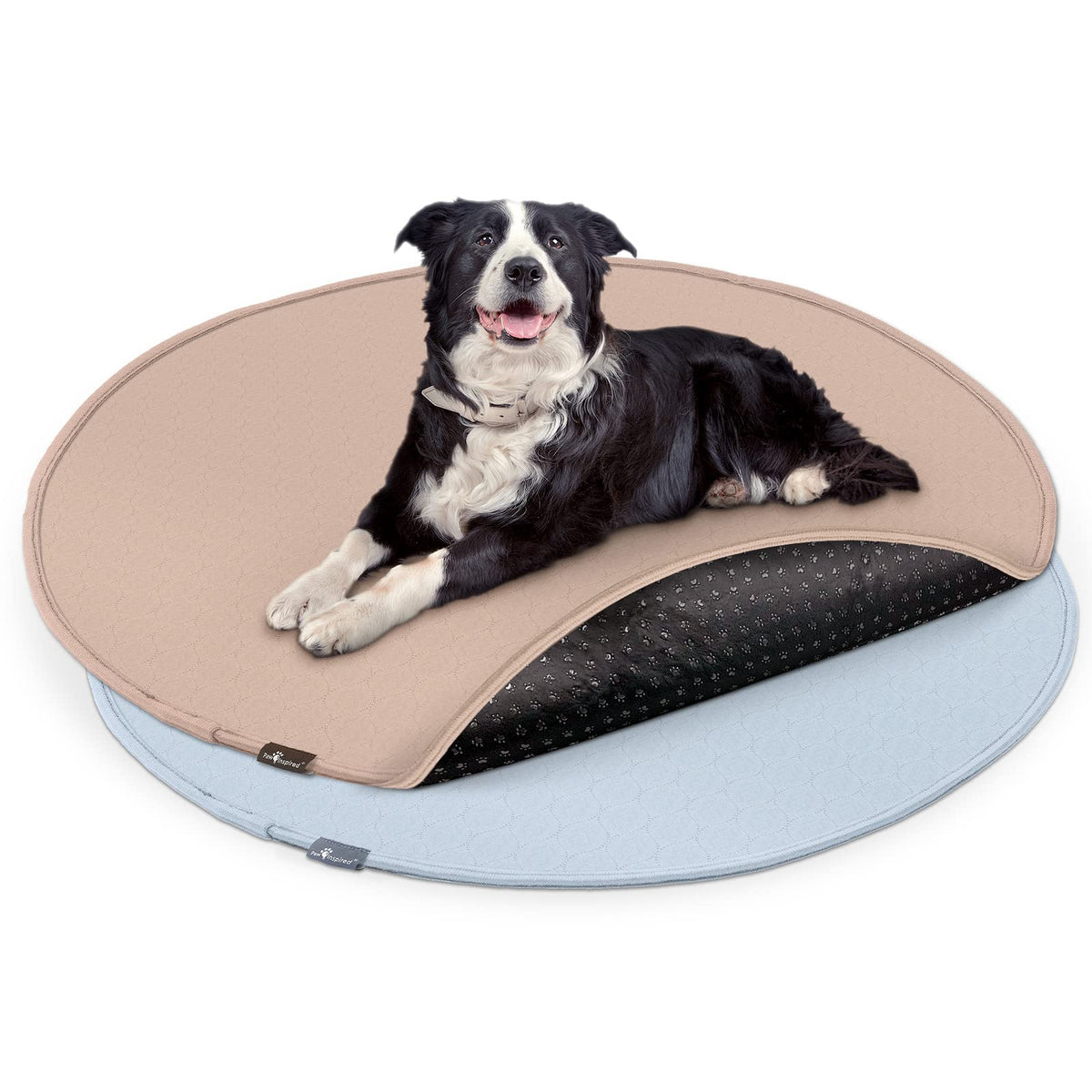 Paw Inspired tapete higienico lavable redondo para perros, ideal para entrenamiento diario