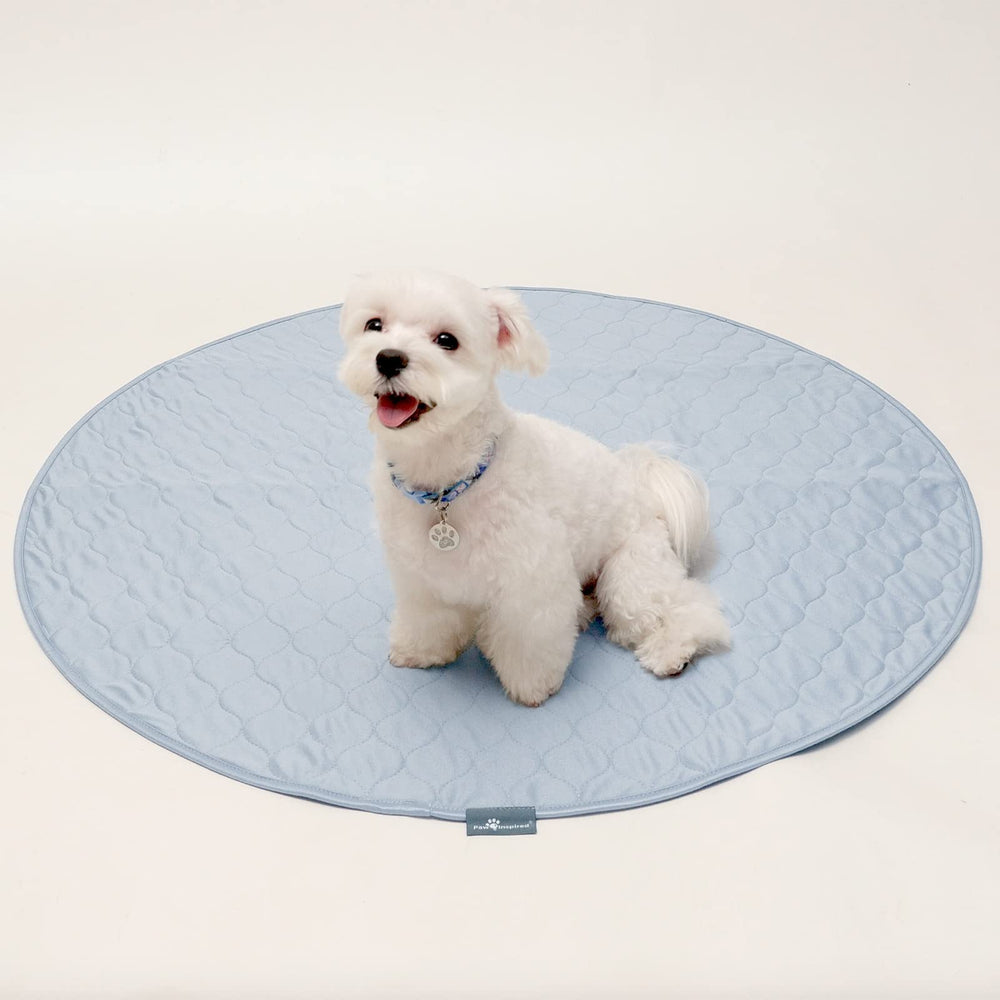 Paw Inspired tapete lavable, resistente y apto para cientos de lavados.