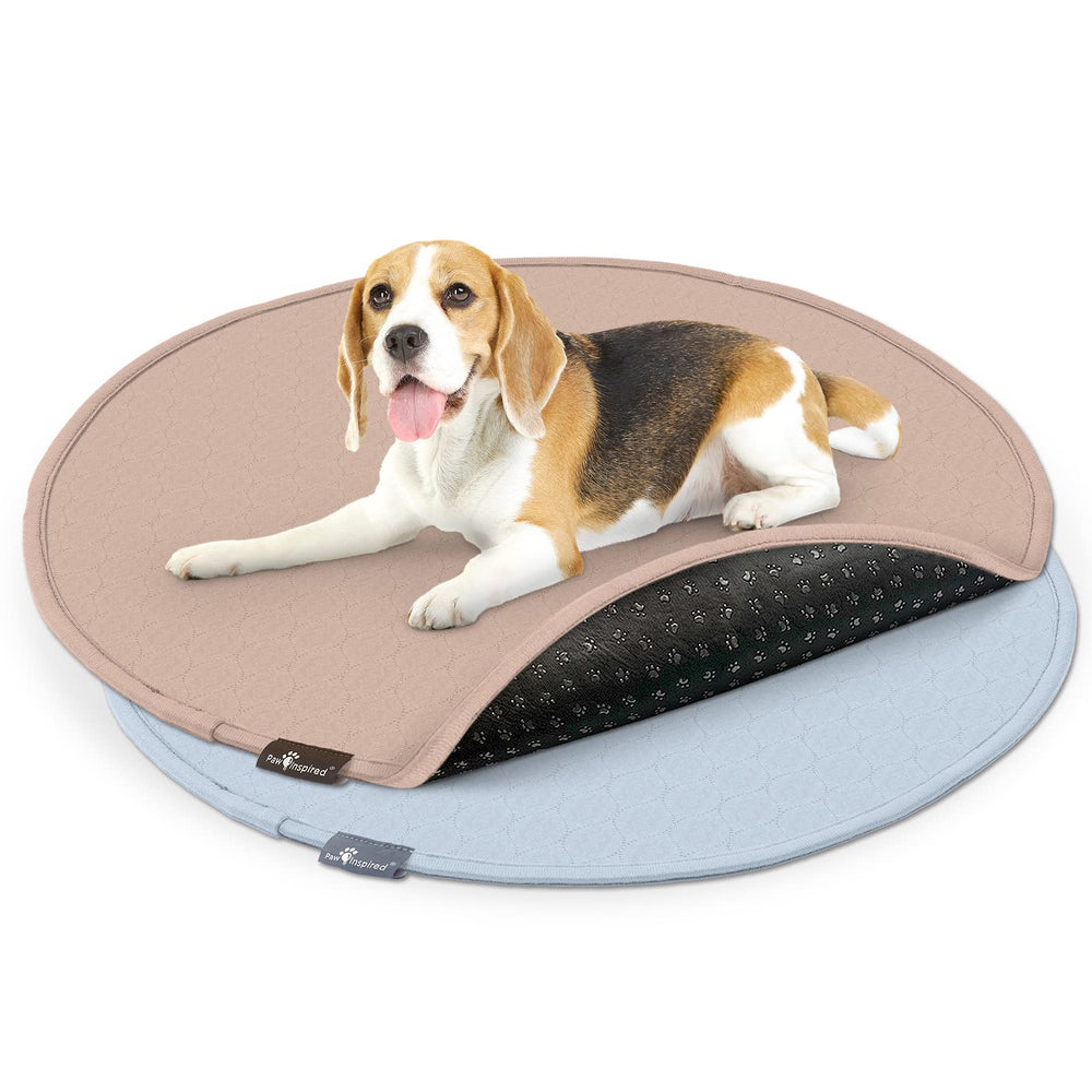Paw Inspired tapete perro redondo de 36 pulgadas, absorbe líquidos y protege el suelo.