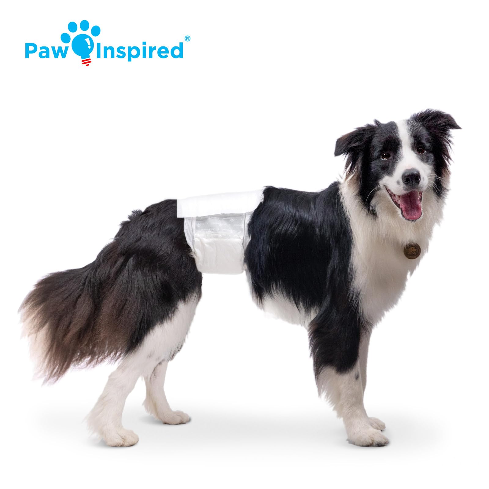 Paw Inspired Tecnología DrySpeed que convierte orina en gel para mayor absorción.
