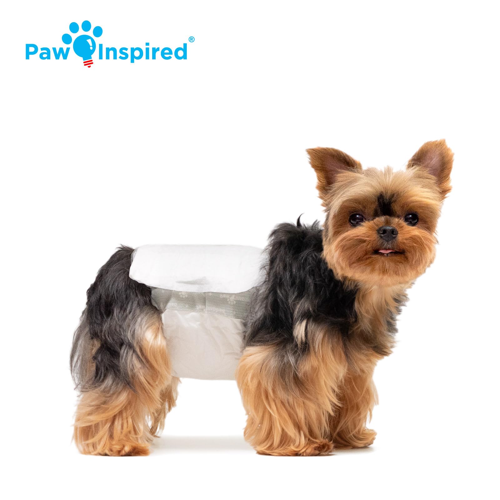 Paw Inspired: tecnología DrySpeed mantiene la superficie seca y agradable.