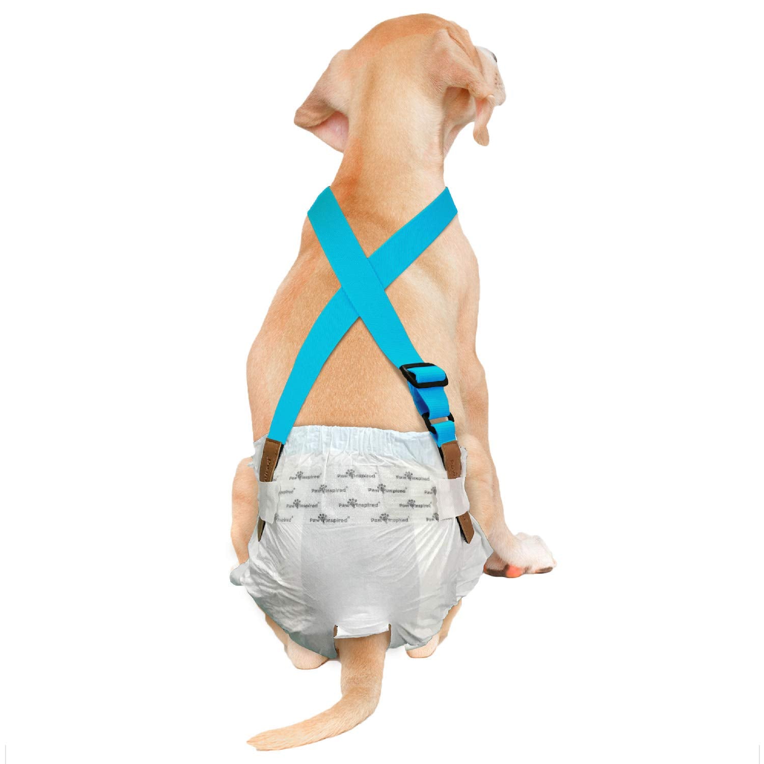 Paw Inspired tirantes para pañales de perro con cierre de gancho y bucle ajustable