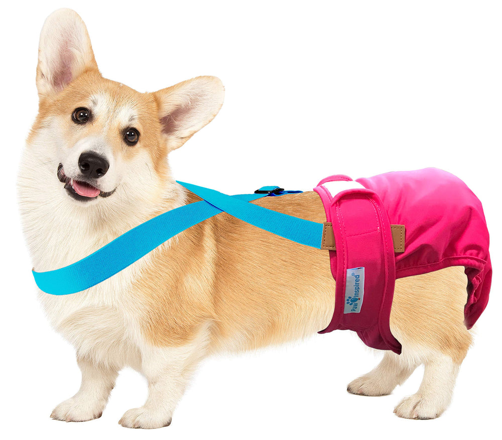 Paw Inspired tirantes para pañales de perro primer plano con cierre de gancho y bucle