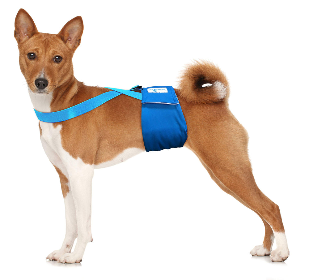 Paw Inspired tirantes para perro correas elásticas y ajuste seguro