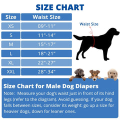 Paw Legend diseño con cierre de velcro para un ajuste cómodo y seguro.