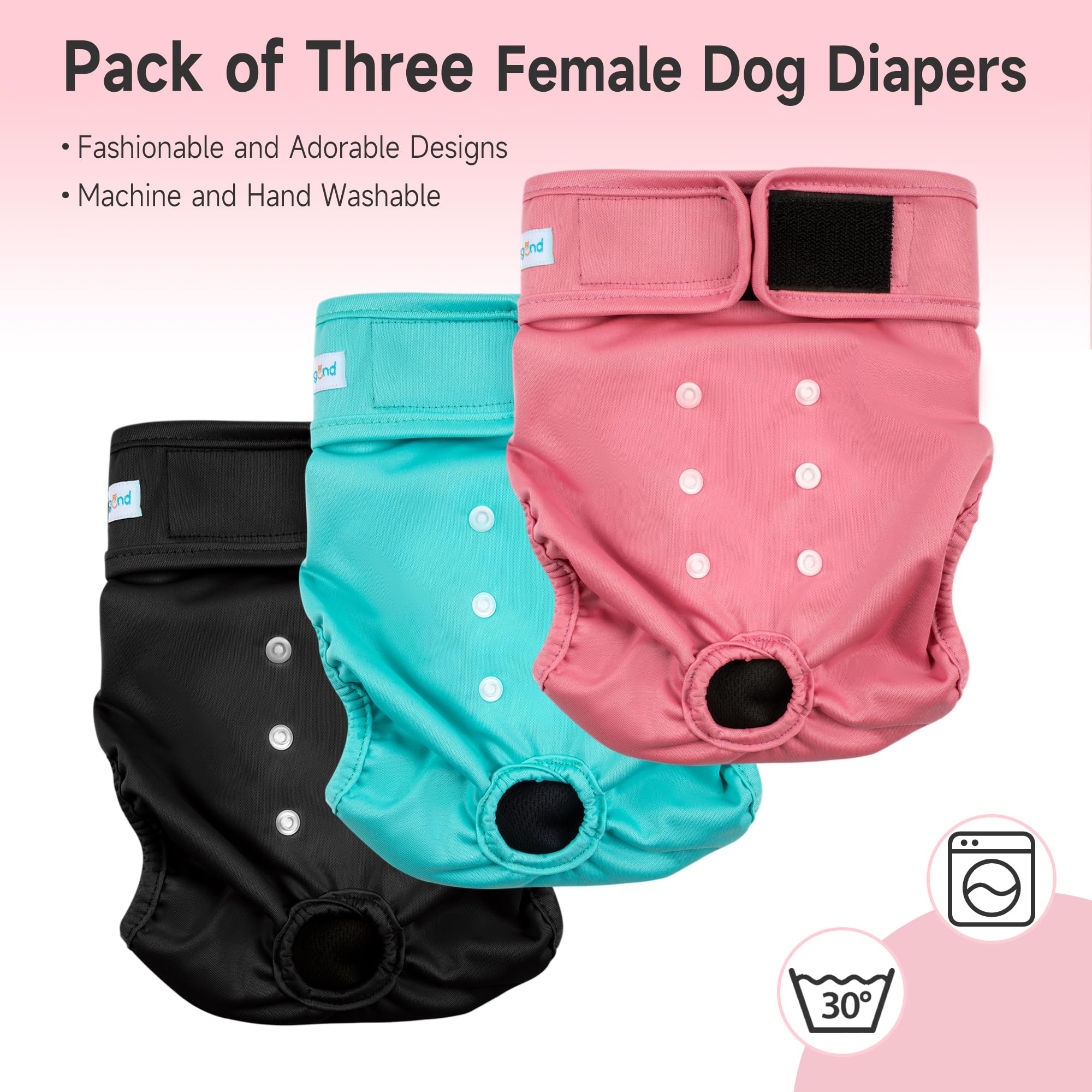 Paw Legend pañales caninos talla pequeña con ajuste seguro para hembras.