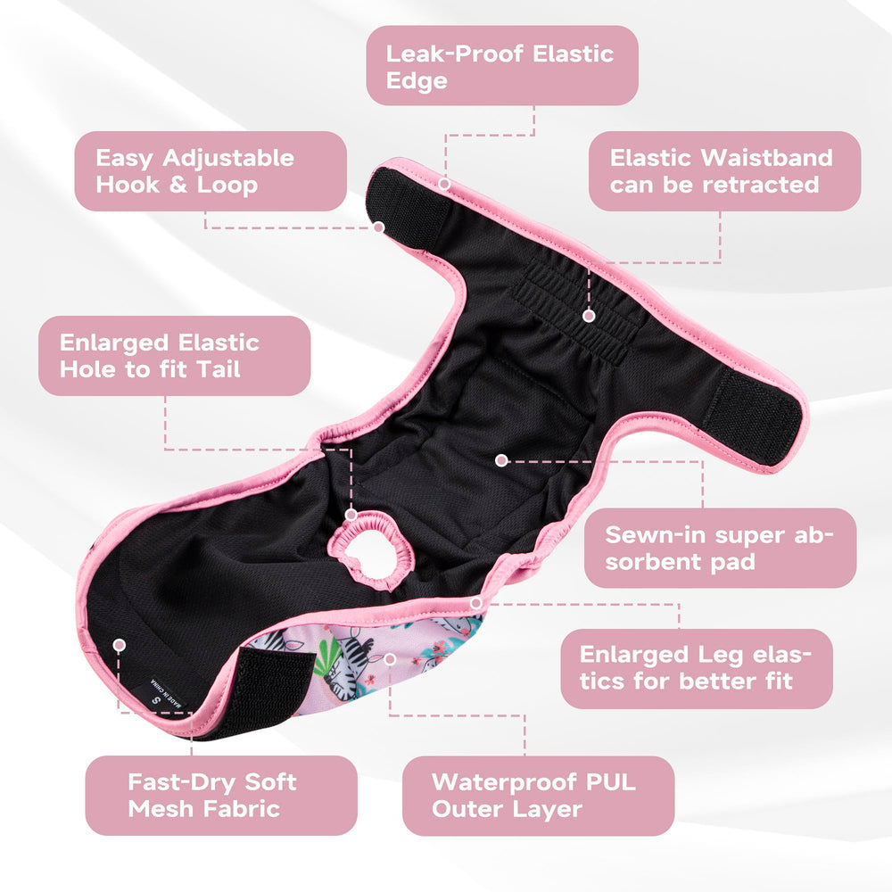 Paw Legend diseño impermeable externo, evita filtraciones y olores