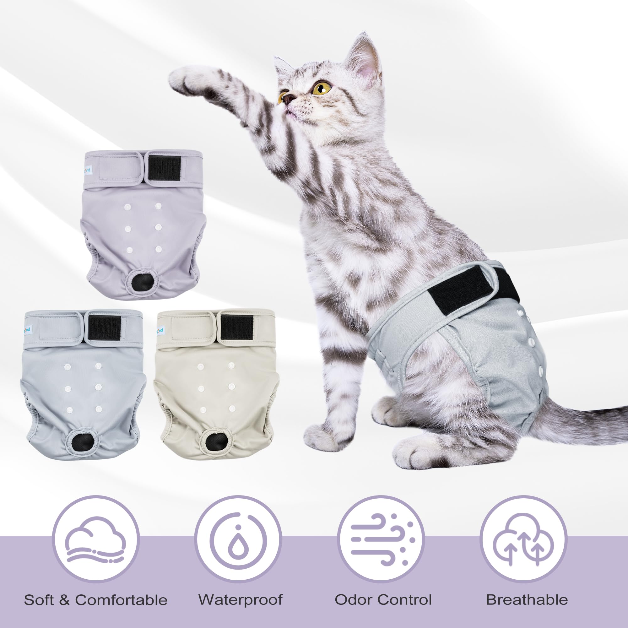 Paw Legend diseño adorable con estampados para gata