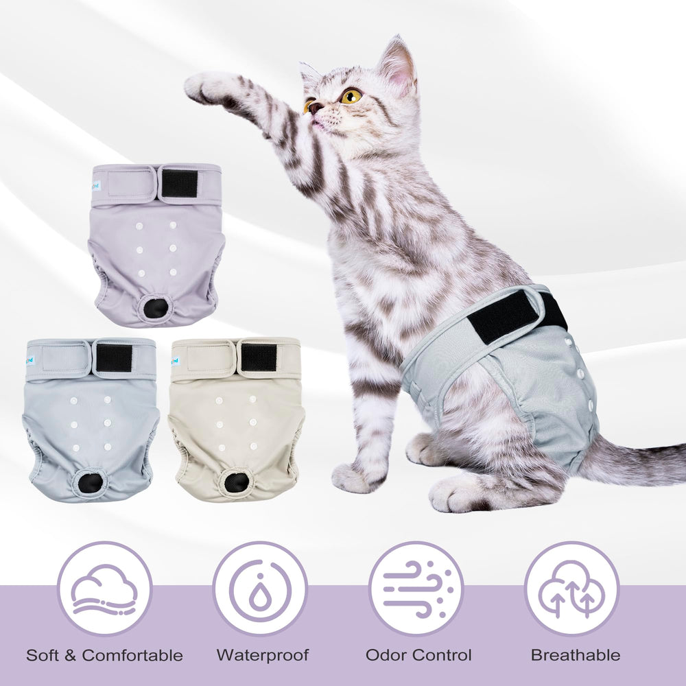 Paw Legend diseño adorable con estampados para gata