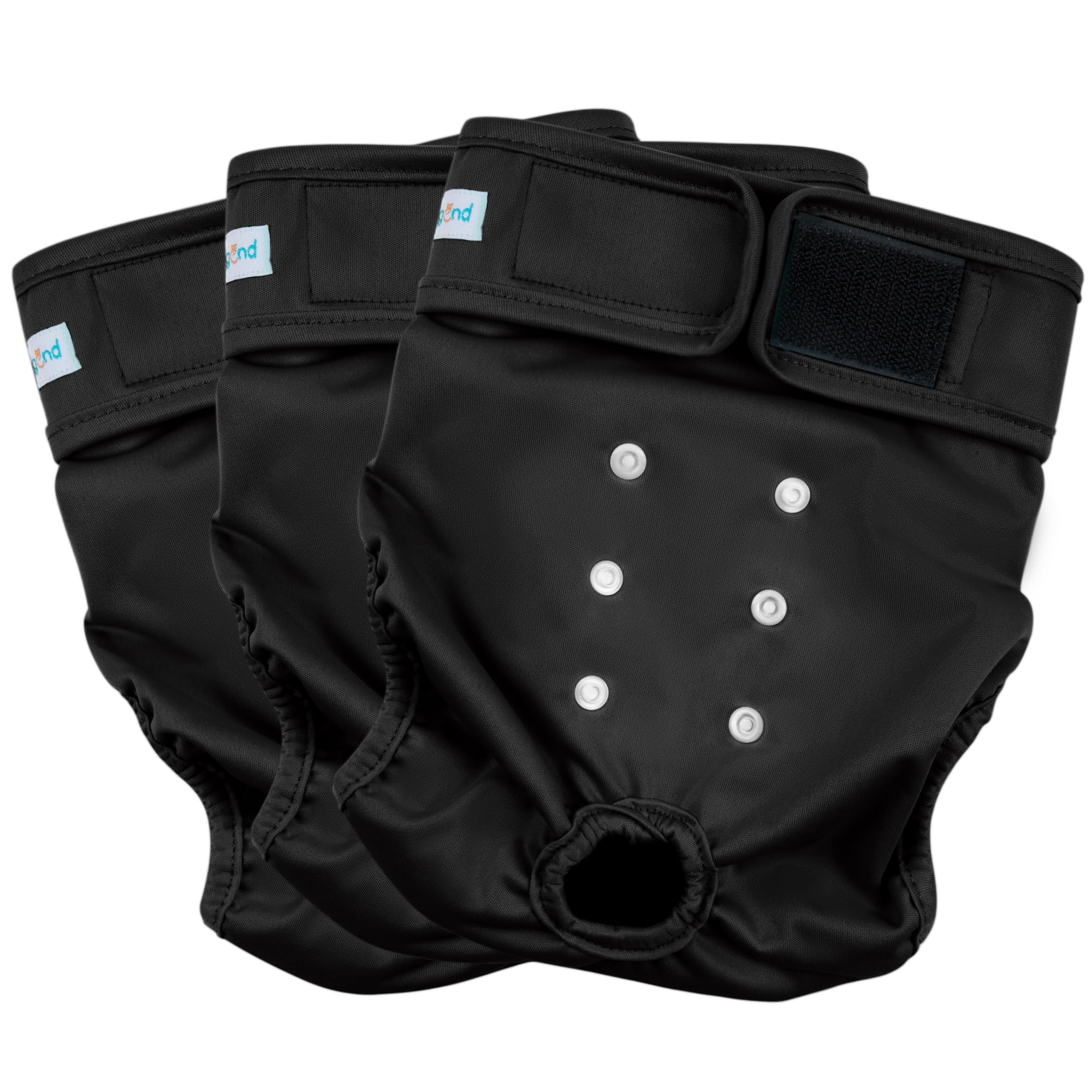 Paw Legend pañales para perra, pack de 3, protección durante la heat