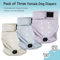 Paw Legend pañales absorbentes evitan fugas con malla transpirable