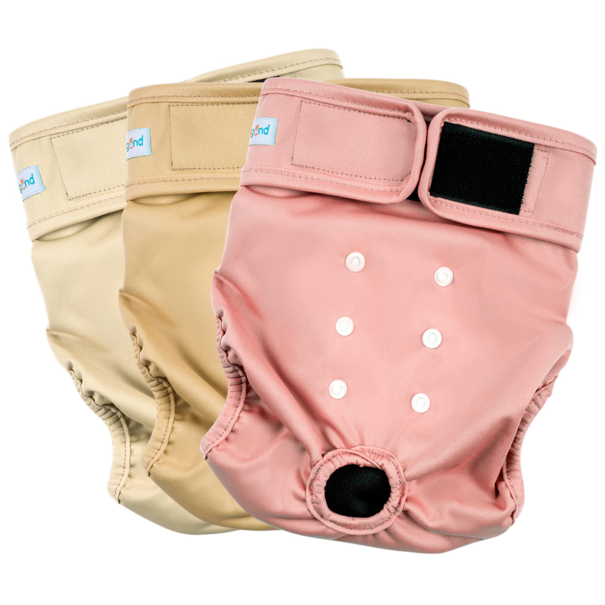 Paw Legend Panales para perras celo con ajuste de cintura para un uso cómodo.