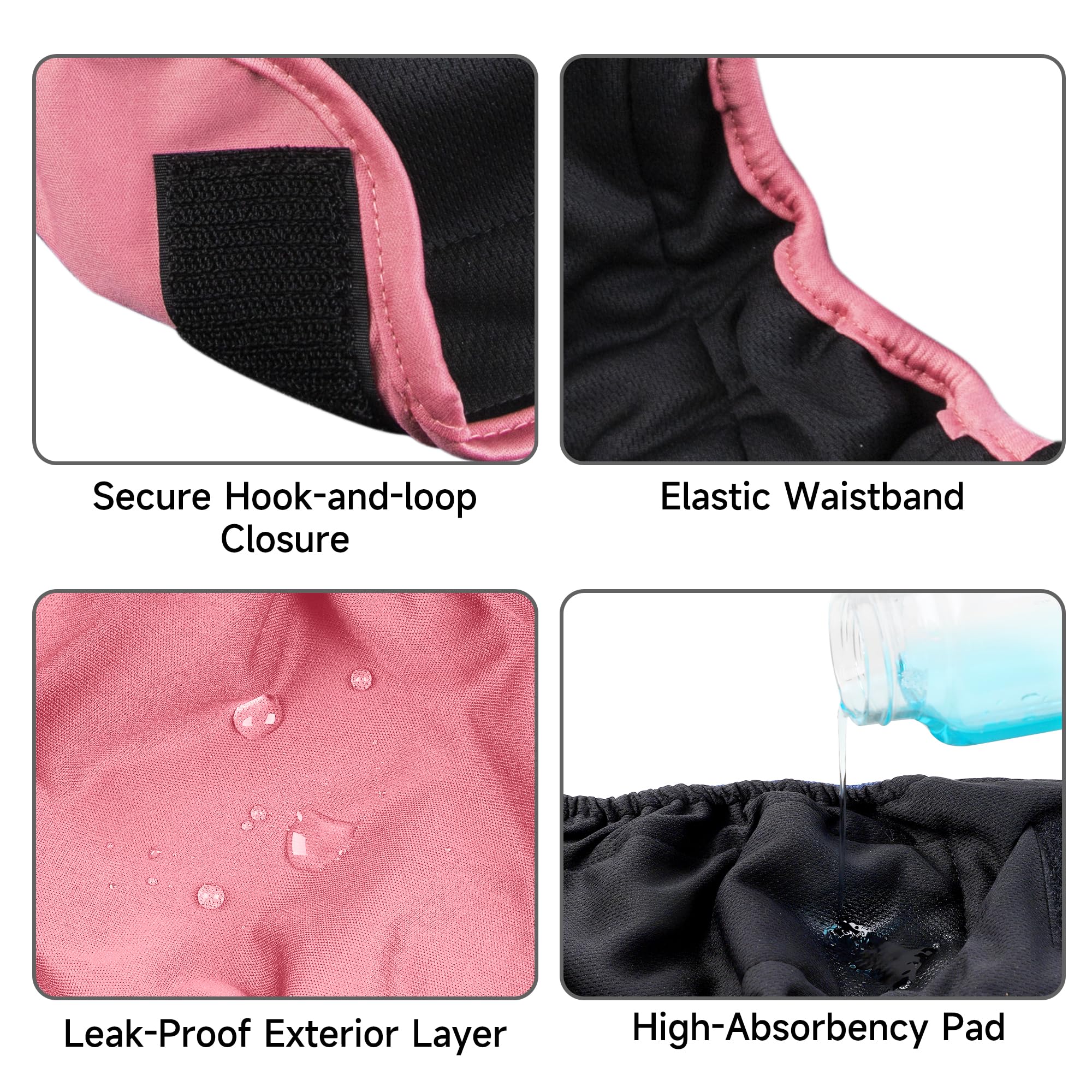 Paw Legend pañales para perras: diseño impermeable que evita filtraciones y olores.
