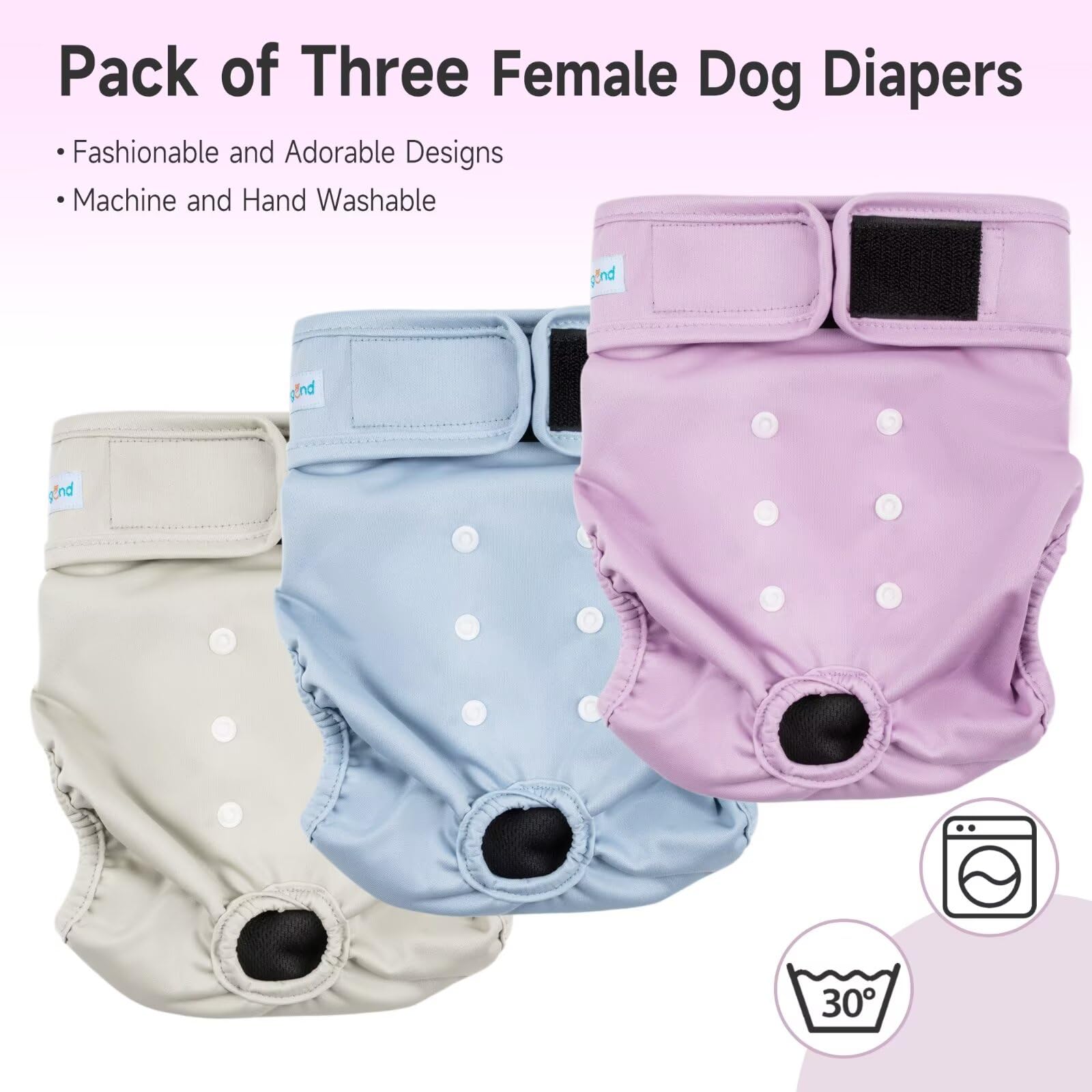 Paw Legend pañales interiores absorbentes para perras, protección diaria.