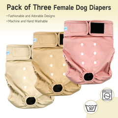Paw Legend Panales para perras reutilizables y lavables para mayor higiene.