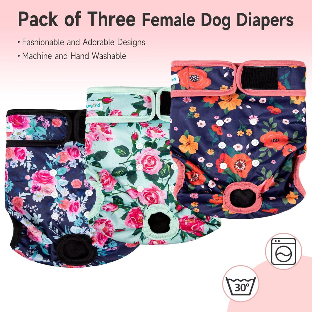 Paw Legend pañales para fase de celo canina con absorción alta.