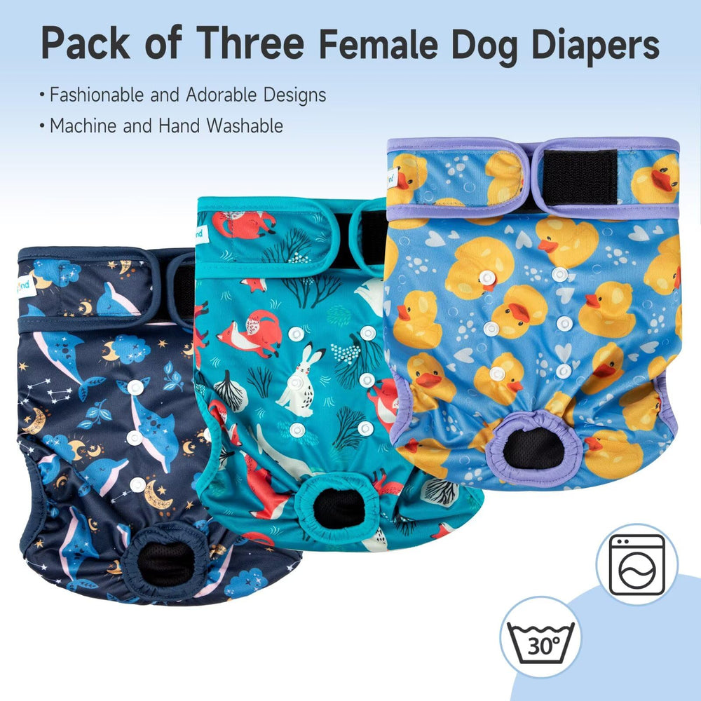 Paw Legend pañales reutilizables y lavables para uso diario