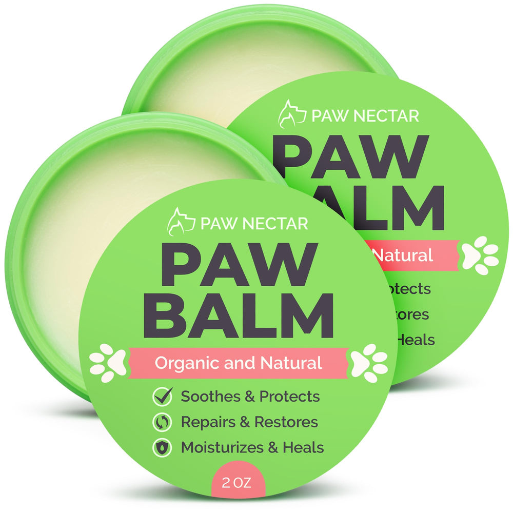 Paw Nectar bálsamo para patas de perros, enfoque en patas secas y suavidad.