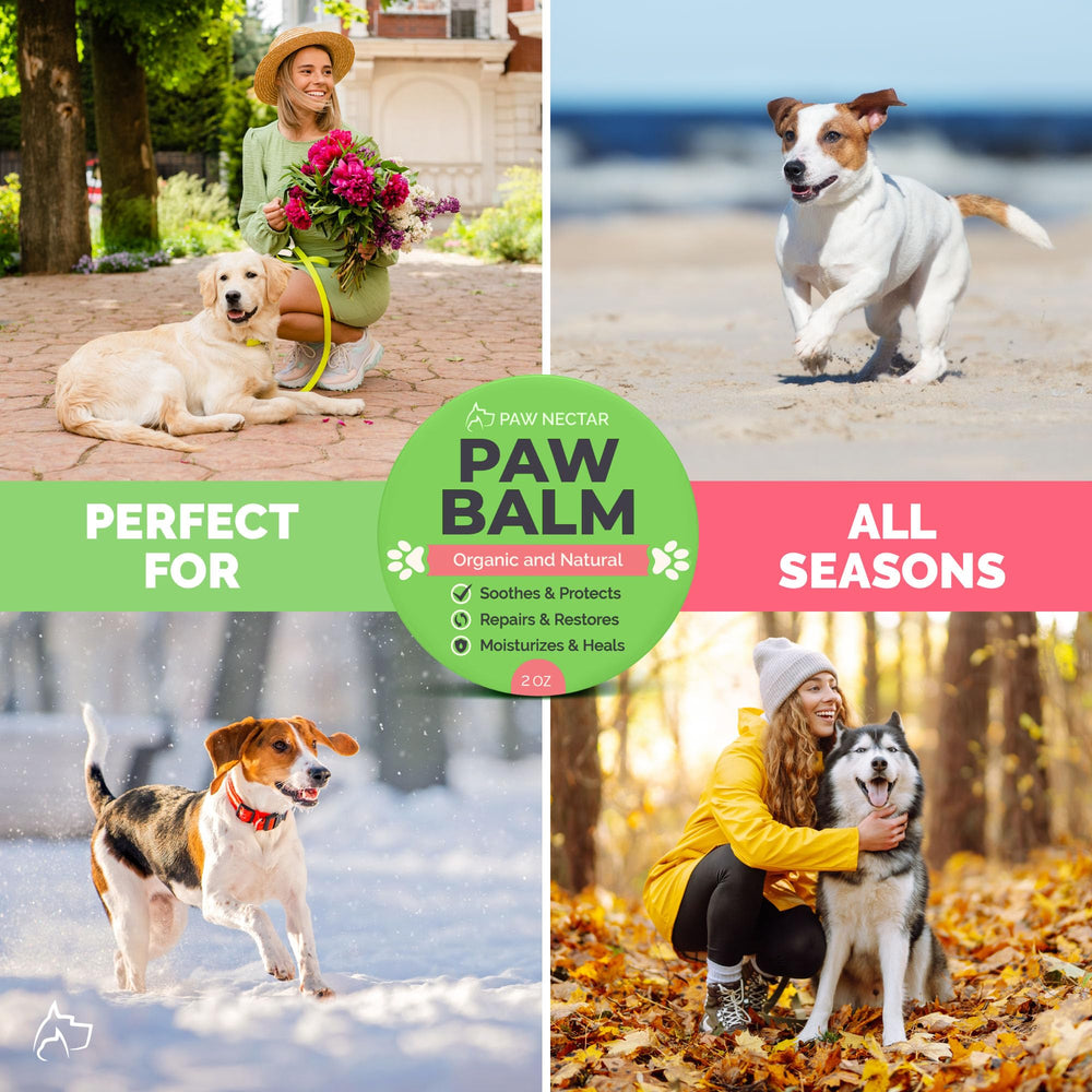 Paw Nectar protección de patas, ideal para caminar al aire libre.
