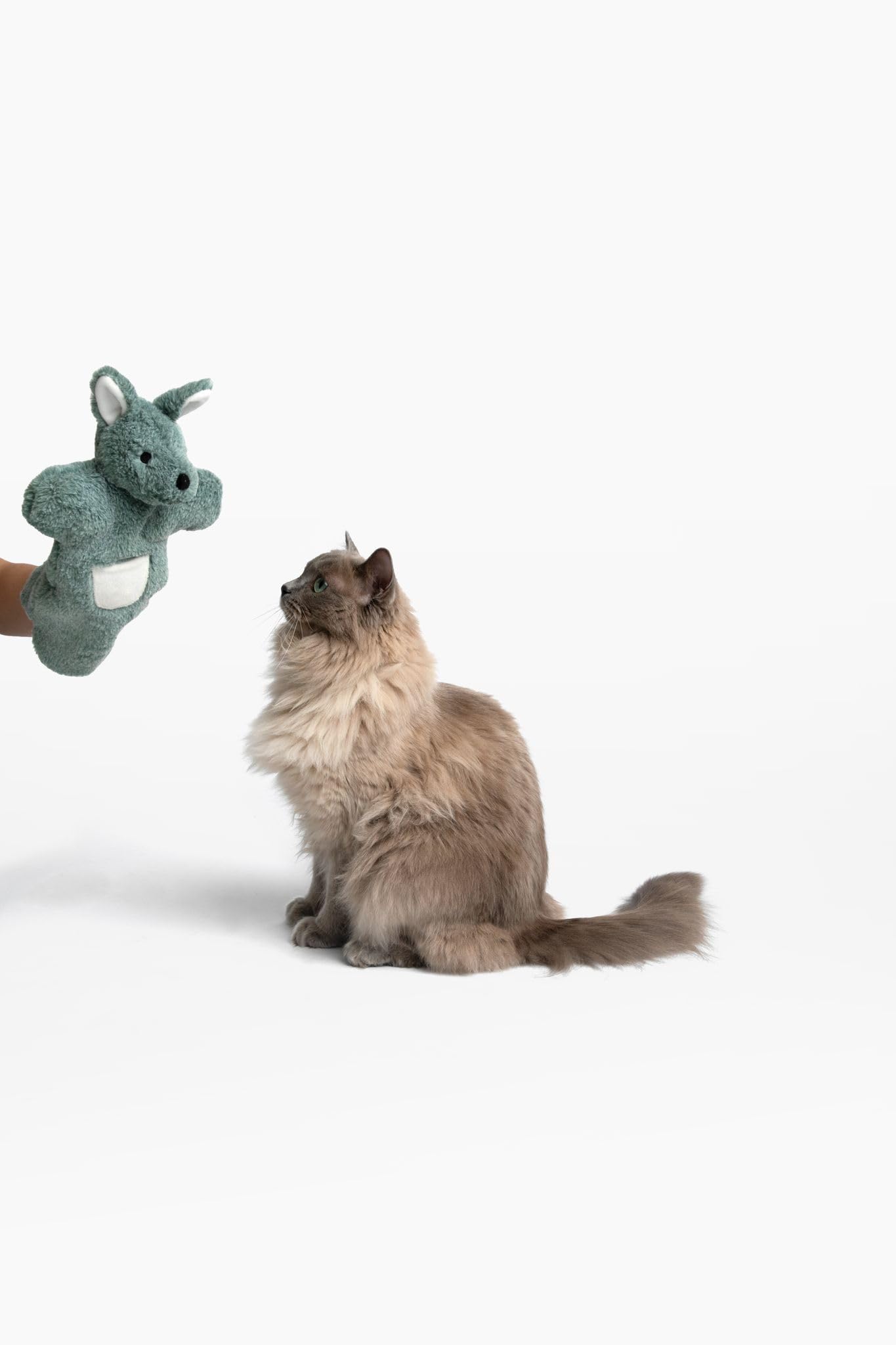 Paw Puppets diseño canguro fortalece el vínculo humano-gato durante sesiones.