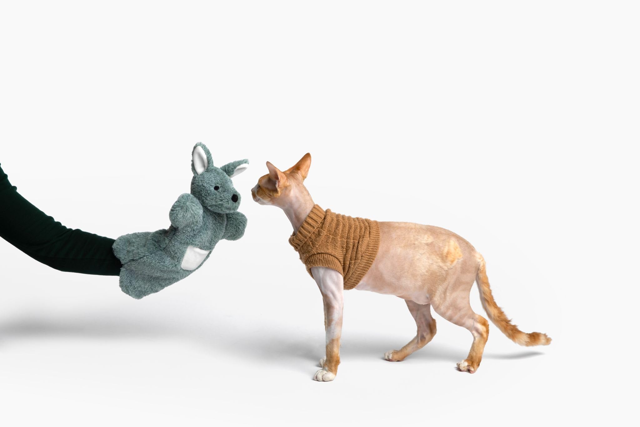 Paw Puppets juguete interactivo para gatos fomenta juego y vínculo.