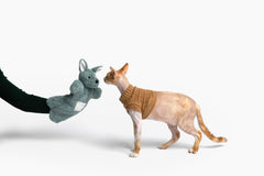 Paw Puppets juguete interactivo para gatos fomenta juego y vínculo.